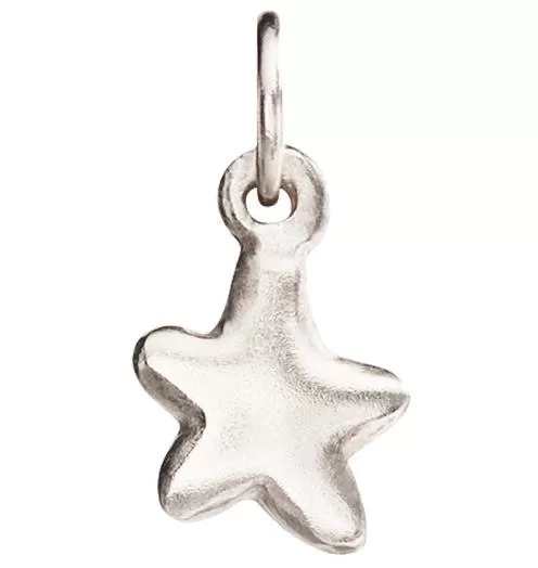 Baby Star Charm