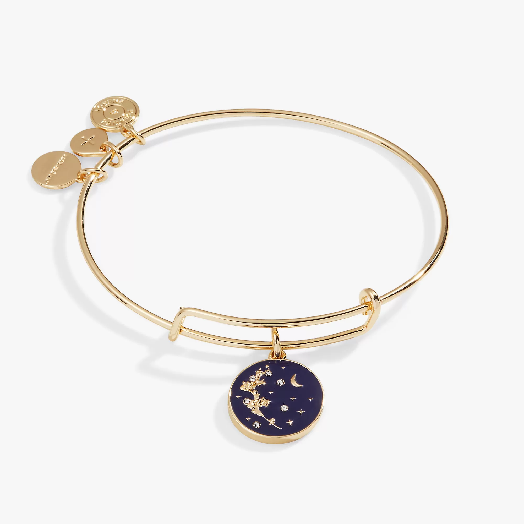 'Empower' Mimosa Flower Charm Bangle Bracelet