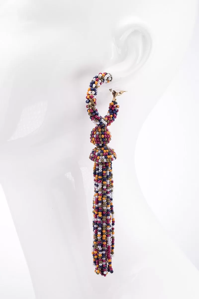 Multicolor Long Beaded Earrings