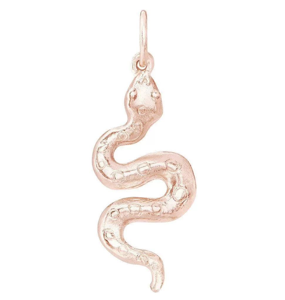 Snake Charm