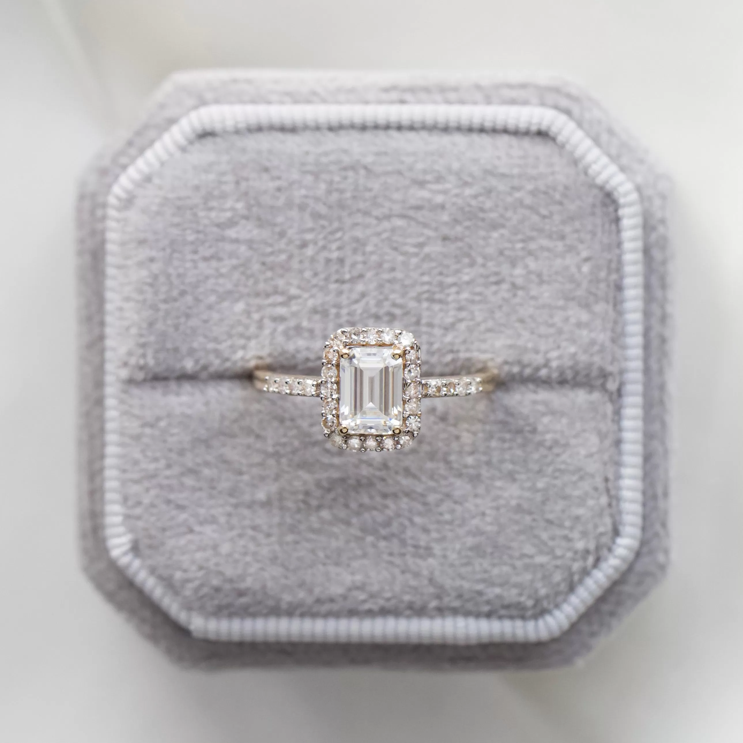 Willow Moissanite and Diamond Pave Halo Ring